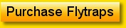 Purchase Flytraps